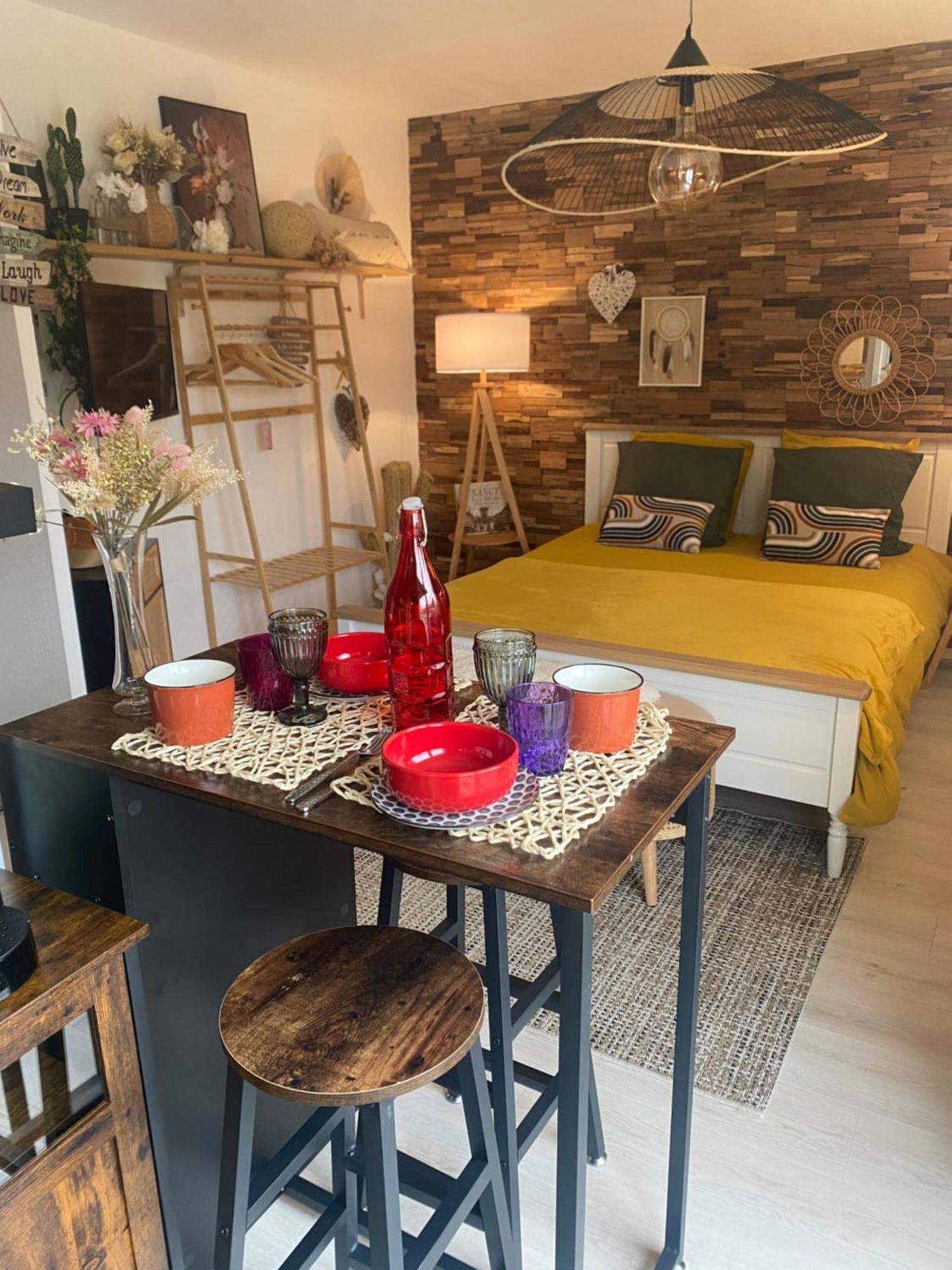 Petit Cocon Proche De Stanislas Appartement Nancy